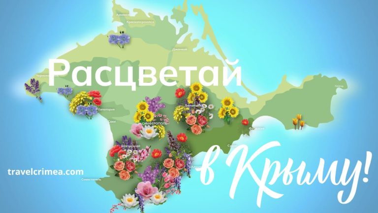 «Расцветай в Крыму!»: в республике разработали карту и календарь цветений для туристов