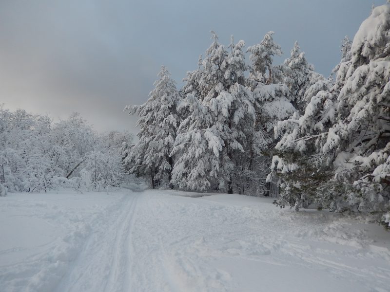 Лыжный туризм: зимние приключения в России