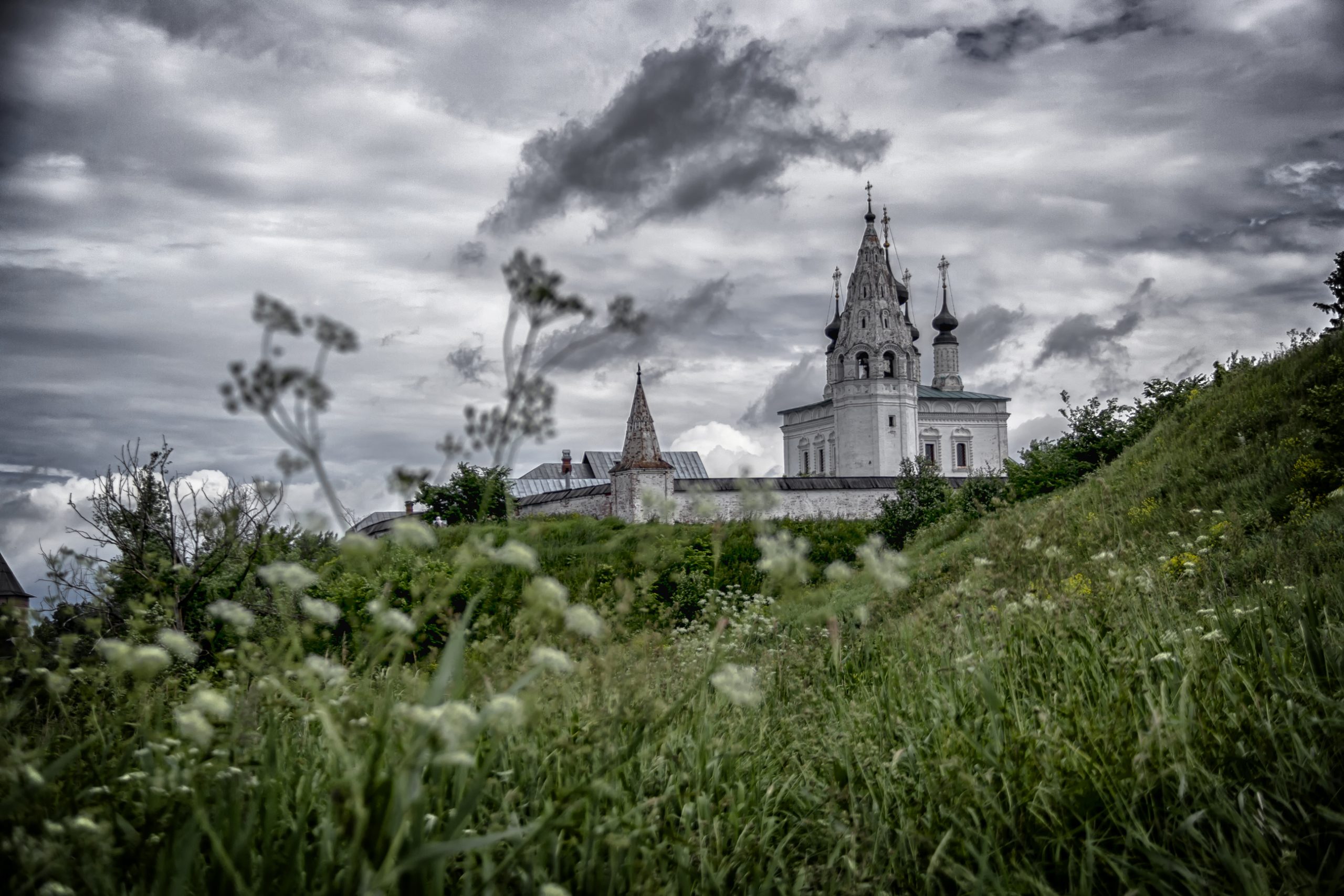 эногастрономический фестиваль