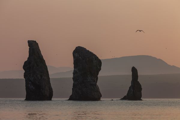 экстремальные виды спорта