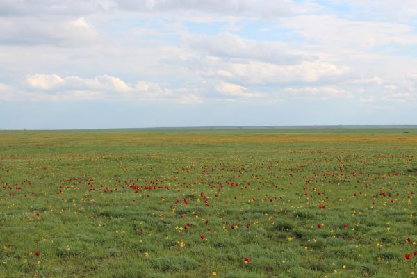 маршруты для весенних путешествий