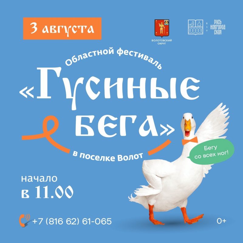 Гусиные бега