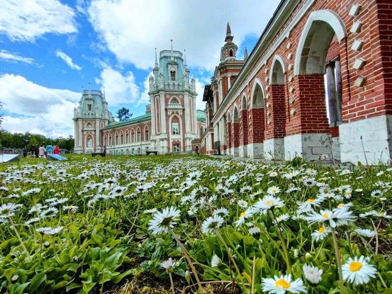 «Дачное Царицыно»